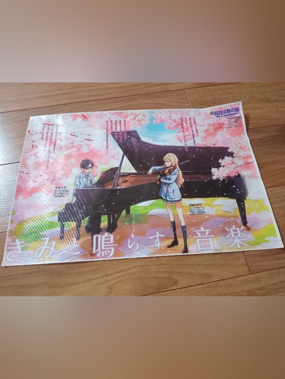 Anime - Your Lie In April Poster